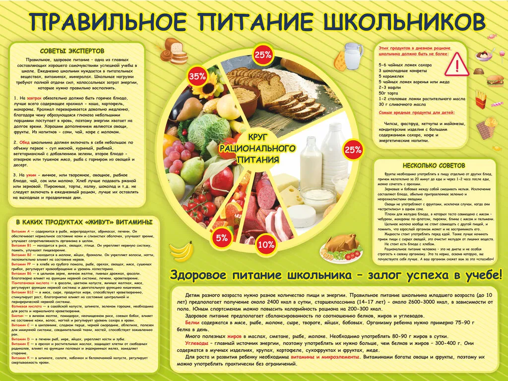 Правильное питание школьников буклет 6 класс